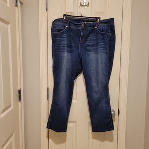 Lane Bryant Venezia straight leg slim tech Denim Blue Jeans size 20 WP Petite